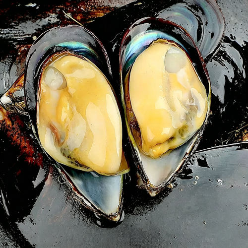 Frozen Half-Shell Green Mussels