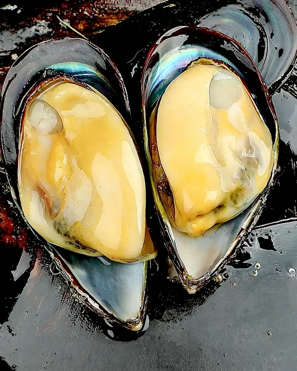 Frozen Half-Shell Green Mussels